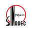 Sinopec 中石化